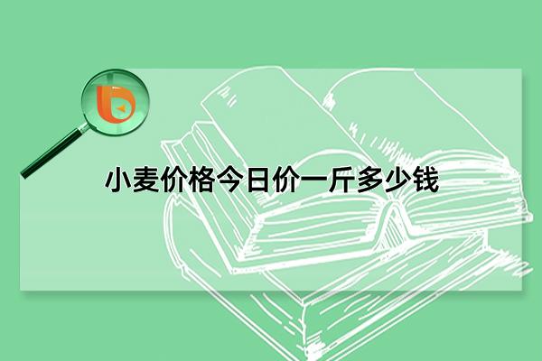 小麦价格今日价一斤多少钱，价格为1.54到1.57元(涨势较弱)(小麦价格今日价一公斤多少钱)