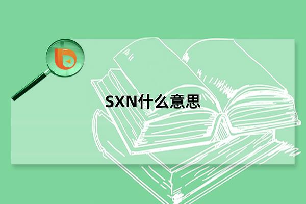 SXN什么意思，表达的含义为“是想你”(WZSXN的简写)(sxnl什么意思)