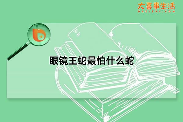 眼镜王蛇最怕什么蛇，最怕南美洲巨腹蛇(体型和毒性均占上风)