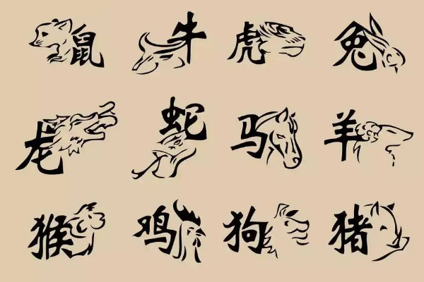 十二生肖排表图